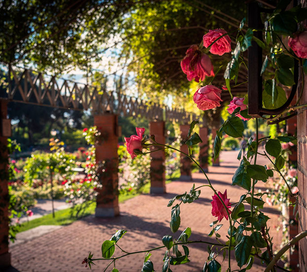 Parque del Oeste madrid Parque del Oeste madrid