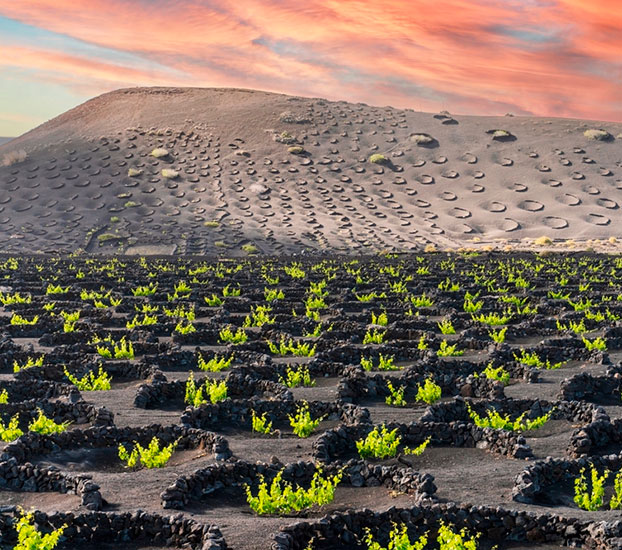 La Geria lanzarote La Geria lanzarote